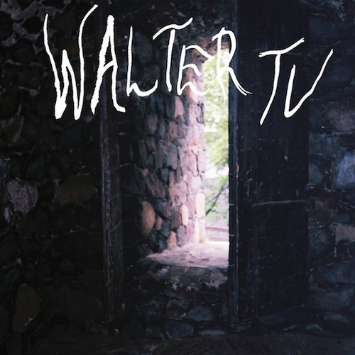 walter tv