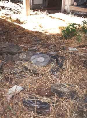 Olompali-Vinyl-In-Situ-Margaret-Purser-1991