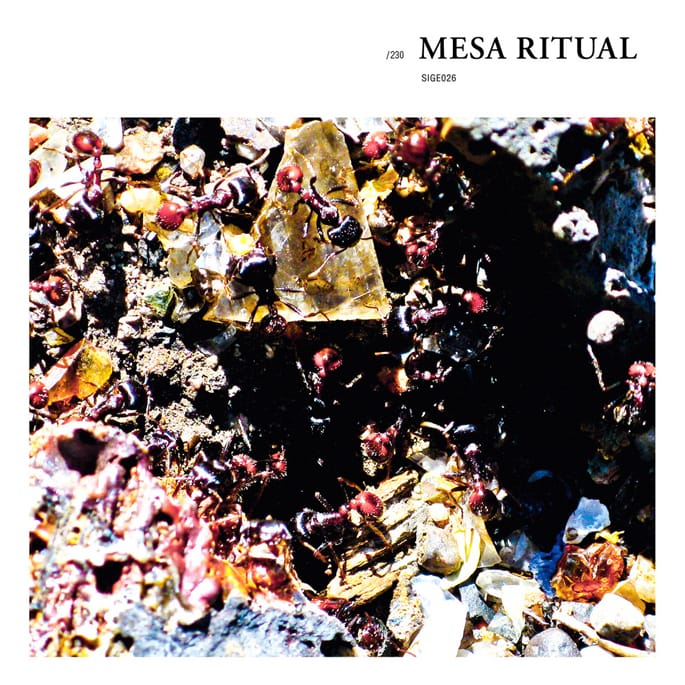 mesaritual2-5.20.2014