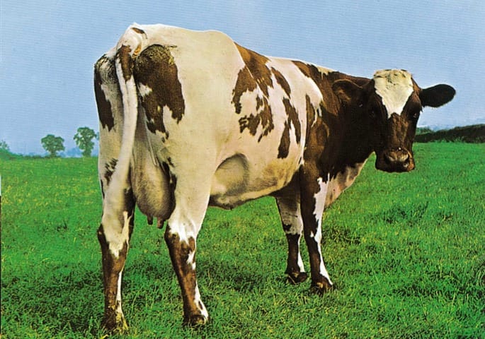 CowFloyd