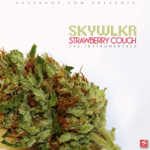 94SKYWLKR