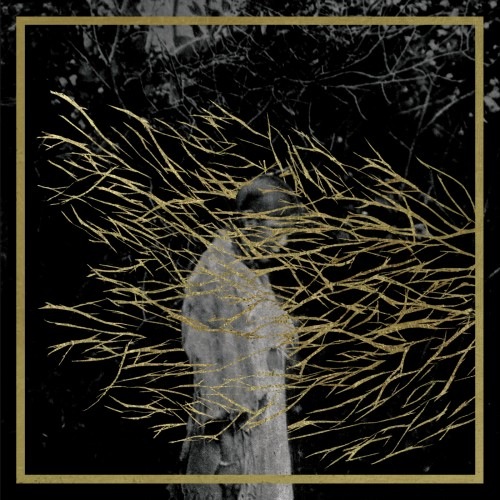 forest_swords