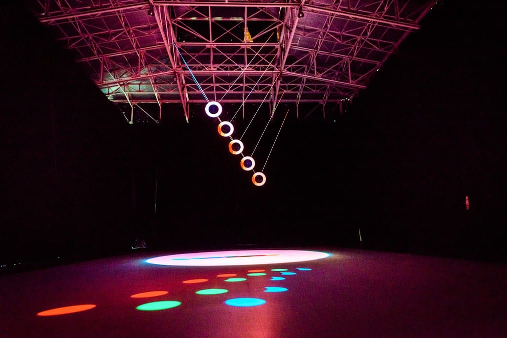 planta_sonar2015_ArielMartini (3)