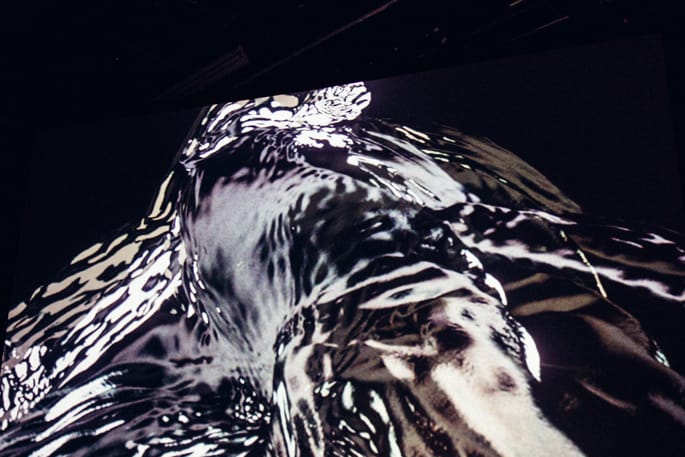 arca-55