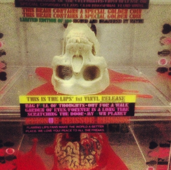 flaming lips_skull
