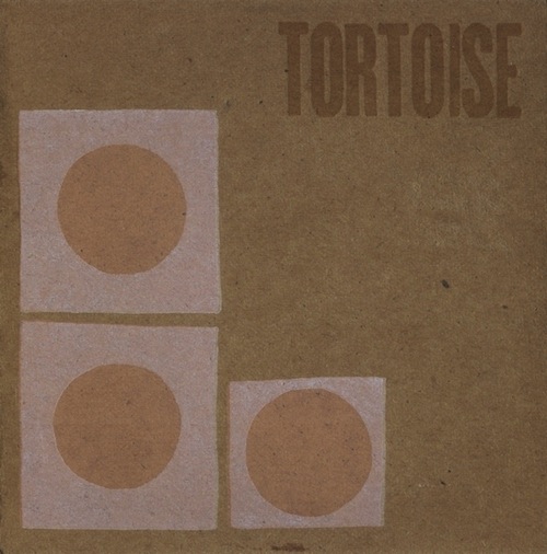 tortoise