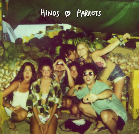HINDS-3-PARROTS