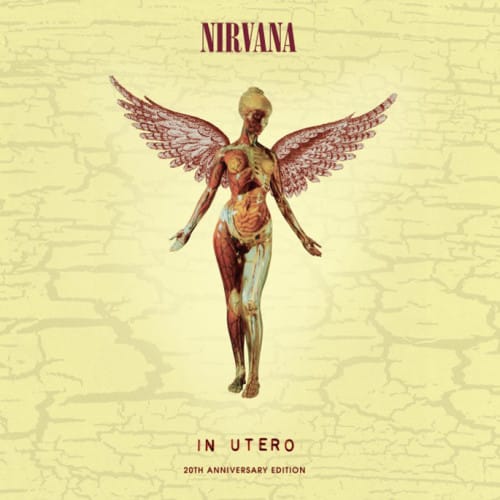 41Nirvana