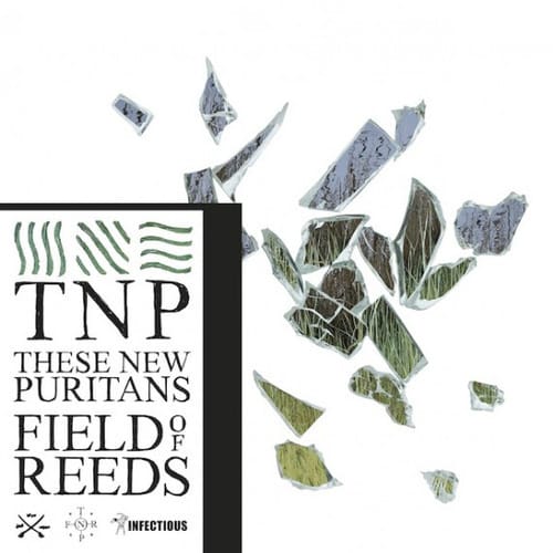 29TNP