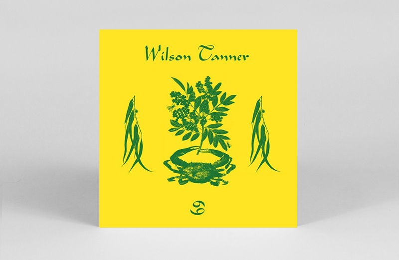 wilson-tanner