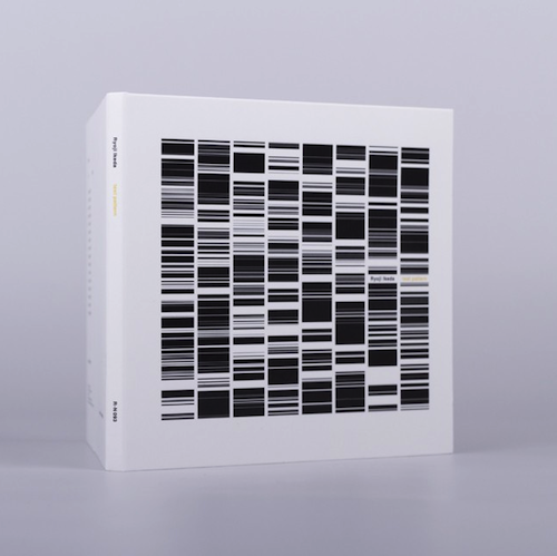 Ryoji Ikeda2