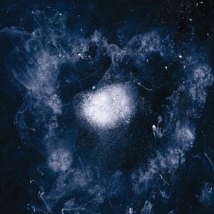 70Swans
