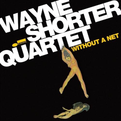 Without A Net_1