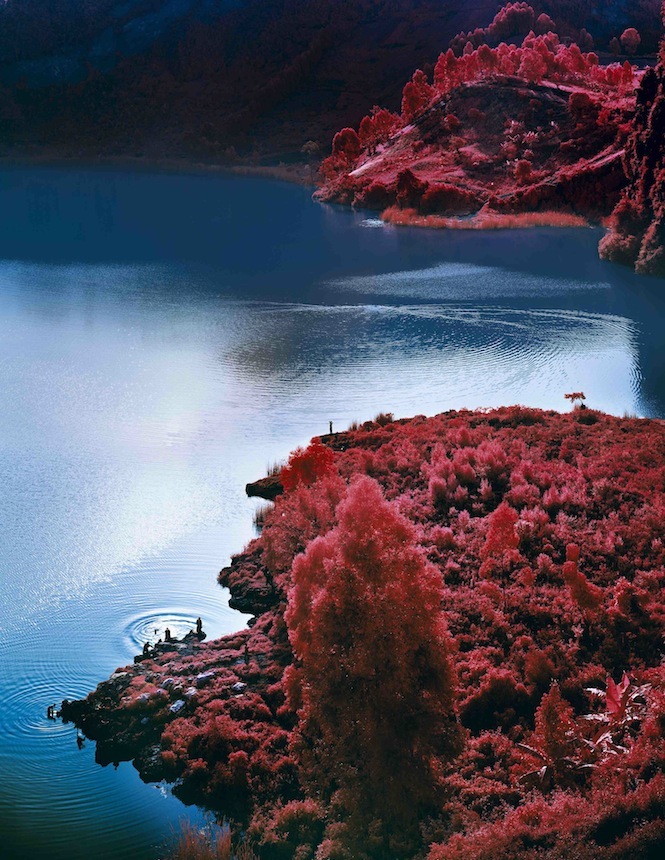 Lac Vert_Richard Mosse