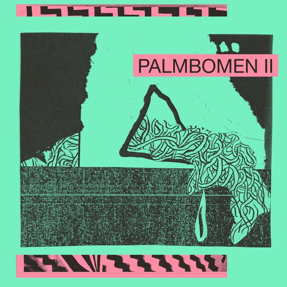 palmbomen-12.2.2015