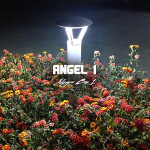 41Angel1