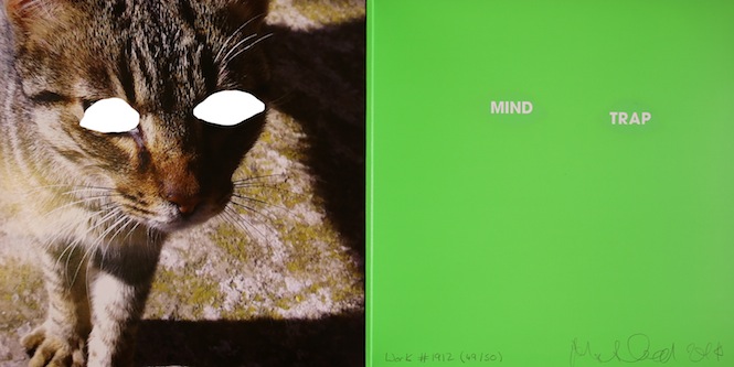 album inside copy
