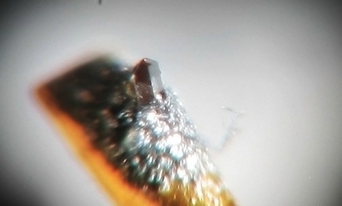 AT micro_line