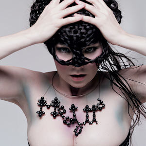 bjork and rahzel