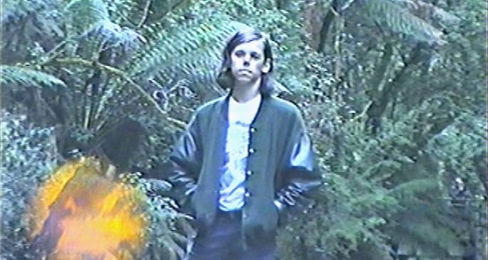 andrasfox