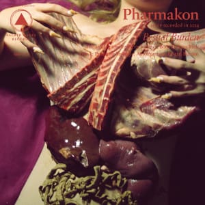 Pharmakon - Bestial Burden - FACT review