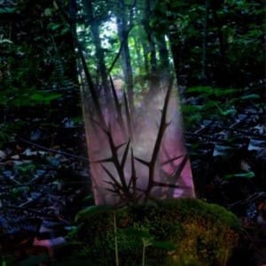 Jensen Sportag <i>Stealth of Days</i> review fact