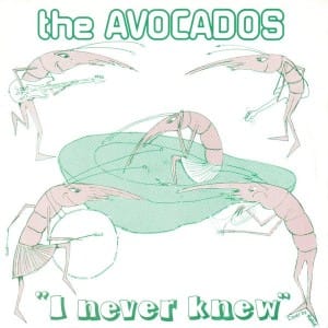 5Avocados