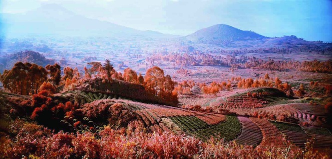 A Thousand Plateaus - 2011
