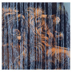 Julian Lynch <i>Lines</i> FACT review