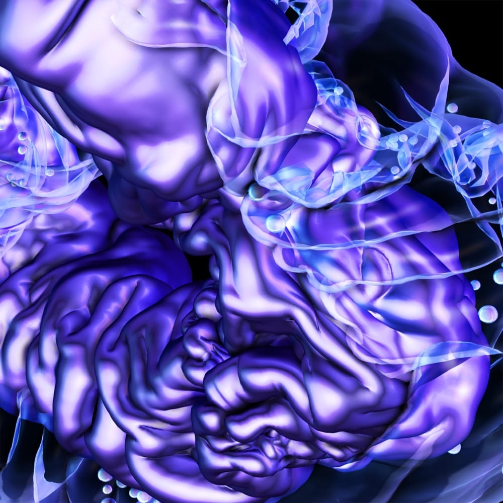 visceral-12.2.2015