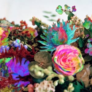 Darkstar <i>News from Nowhere</i> FACT review