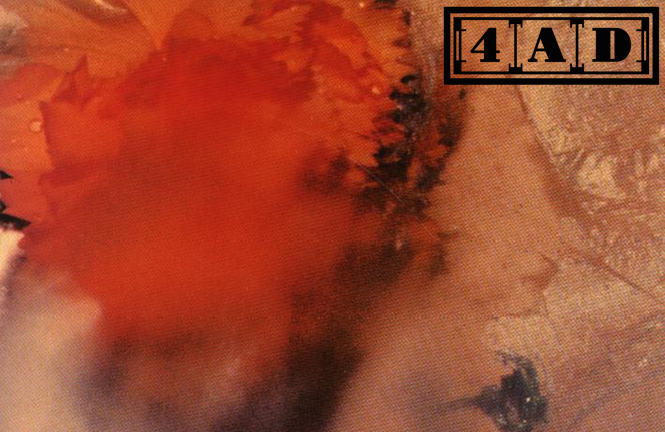 4ad cover image