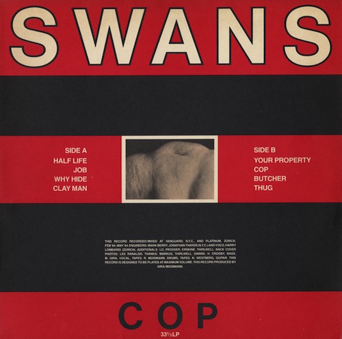 swans