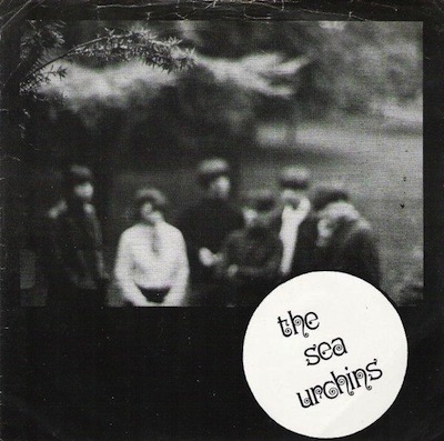 Sea urchins