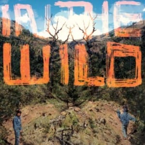faltyDL - in the wild review