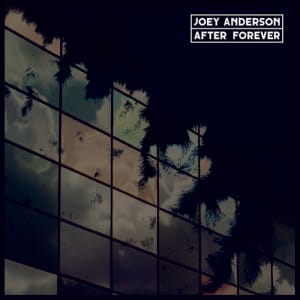 joey anderson lp - 4.8.2014