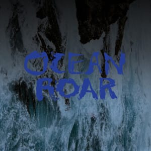 29OceanRoar