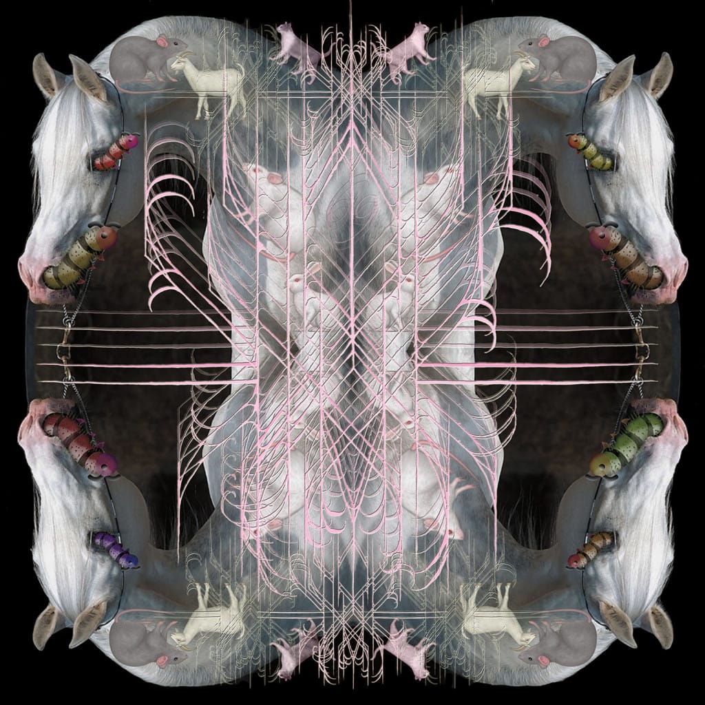 Eartheater returns with new album <i>RIP Chrysalis</i>, shares dreamlike 'Wetware'