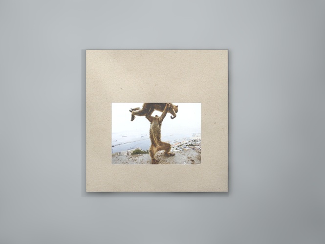 shellac copy