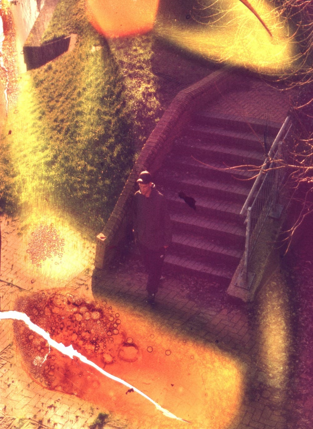 Gage_crop_photoLydiaClifford