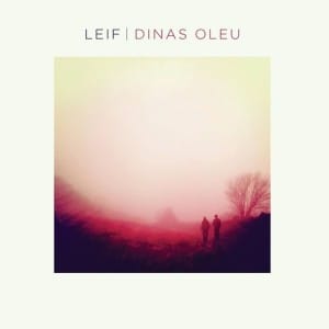 Leif Dinas Oleu review