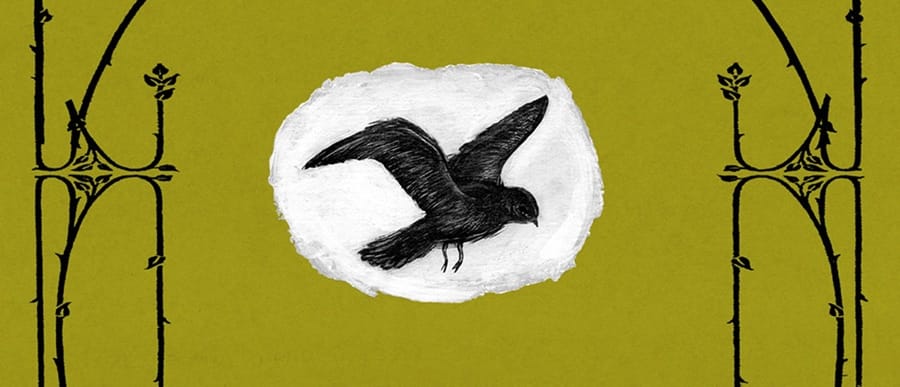 Post-rock - A Silver Mt. Zion